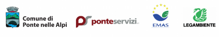 Ponteservizi - Ponte nelle Alpi